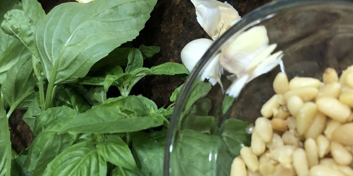 Oil Free Vegan Basil Pesto