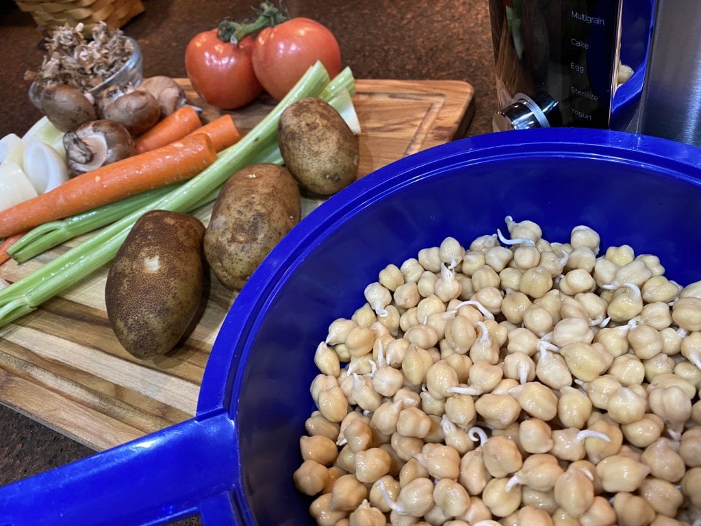 Chickpea sprouts preparation