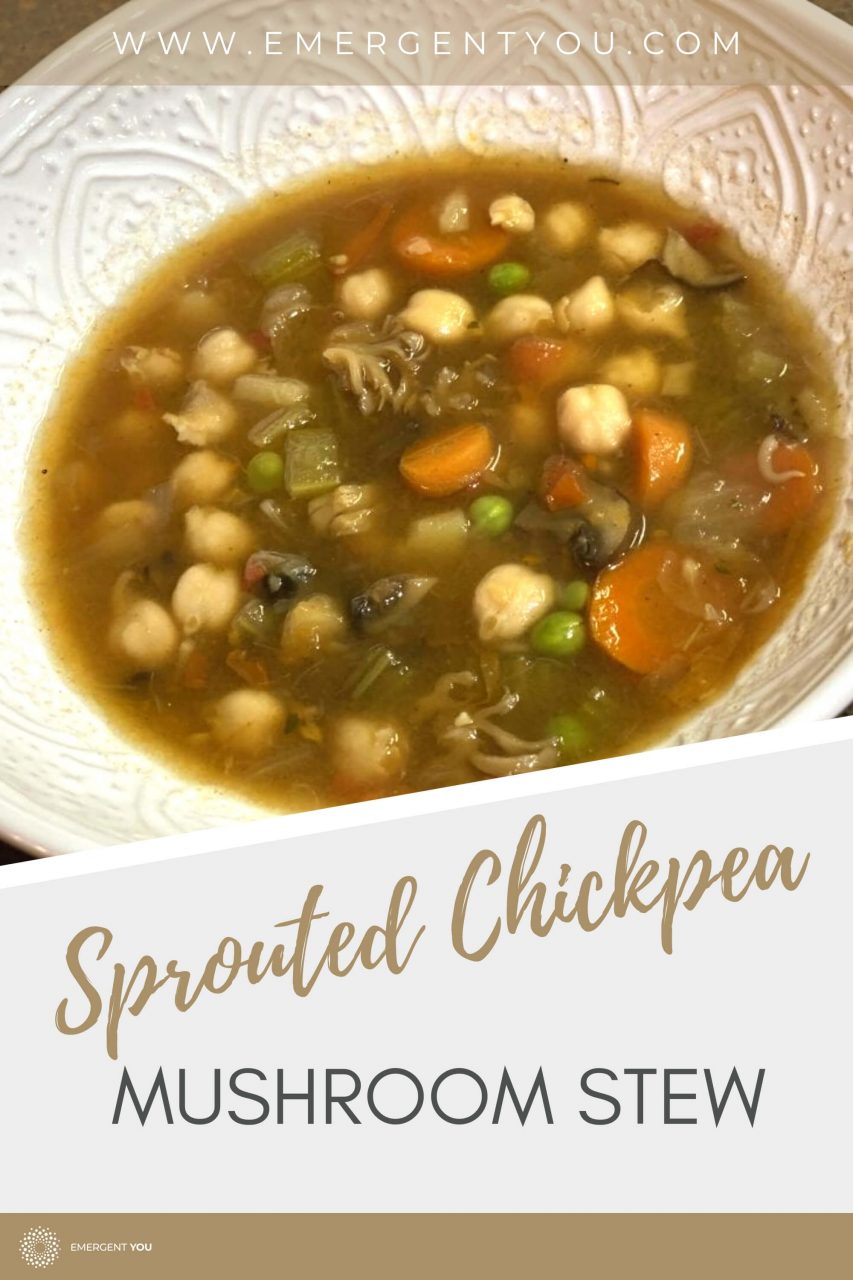 sprouted chickpea stew pin post