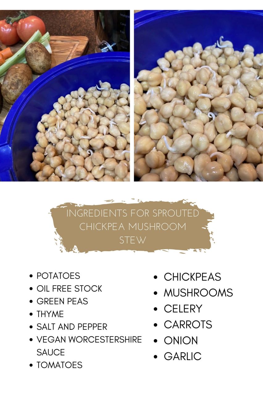 sprouted chickpea stew ingredients